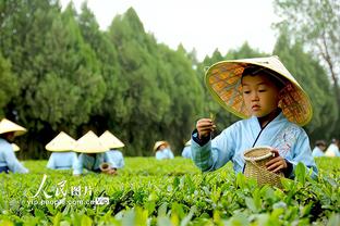 雷经济竞技截图0